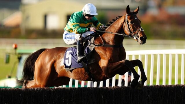 Hoje, no Sky Sports Racing: Genois, Havaila e Liche Of Ausência Concurso Newbury Recurso | Notícias de corrida
