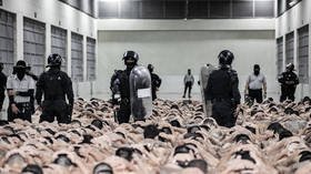 O FBI lança a Força -Tarefa ‘Terrorismo Doméstica’ sobre os ataques de Tesla – RT World News O FBI lança a Força -Tarefa 'Terrorismo Doméstica' sobre os ataques de Tesla - RT World News