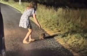 Os medos crescem para o Wombat sequestrado por Sam Jones, enquanto os especialistas alertam o Critter pode não ser capaz de encontrar o caminho de volta para sua mãe – o sol Os medos crescem para o Wombat sequestrado por Sam Jones, enquanto os especialistas alertam o Critter pode não ser capaz de encontrar o caminho de volta para sua mãe - o sol