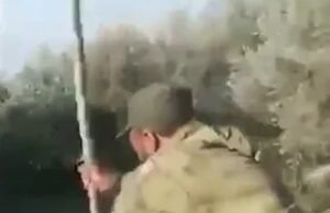 Os vídeos de terror mostram ‘Brutal Regime Mutilations’ e pistoleiros em Damasco após ‘1.500 morrem’ em 4 dias de confrontos sangrentos na Síria Os vídeos de terror mostram 'Brutal Regime Mutilations' e pistoleiros em Damasco após '1.500 morrem' em 4 dias de confrontos sangrentos na Síria