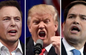 Reunião do Gabinete da Casa Branca: O que exatamente aconteceu no argumento de Elon Musk-Marco Rubio aquecido na presença de Donald Trump? Aqui está o colapso Reunião do Gabinete da Casa Branca: O que exatamente aconteceu no argumento de Elon Musk-Marco Rubio aquecido na presença de Donald Trump? Aqui está o colapso