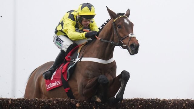 Sir Gino: A estrela de Nicky Henderson retorna a sete carrinhos de mão após infecção | Notícias de corrida
