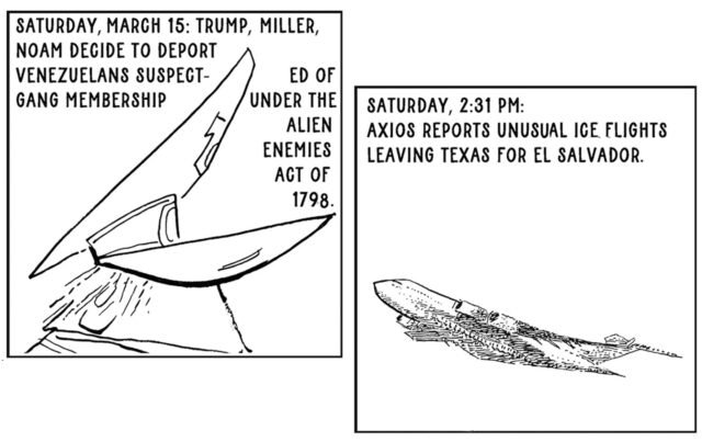 TRIBUNAL D'ÉTAT | A nação

