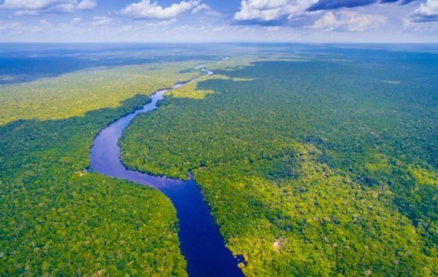 Os cientistas brasileiros e franceses abordam as mudanças climáticas na Amazon - MercOpress
