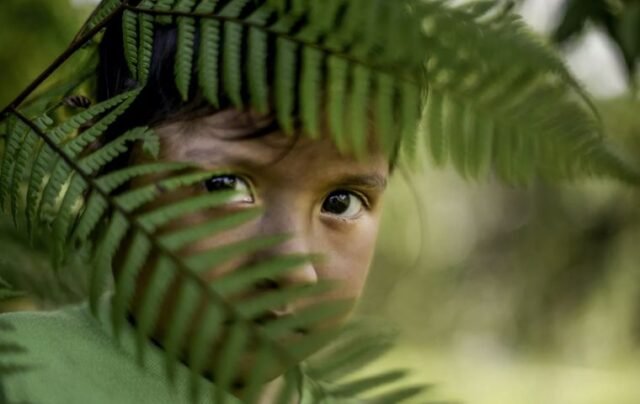 Violência contra crianças na Amazônia Brasileira Pior do que em outros lugares do país - Merbopress
