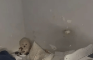 Menina, 6, finalmente libertada depois de ficar trancada em sala a vida inteira por pais cruéis – deixando -a incapaz de falar Menina, 6, finalmente libertada depois de ficar trancada em sala a vida inteira por pais cruéis - deixando -a incapaz de falar