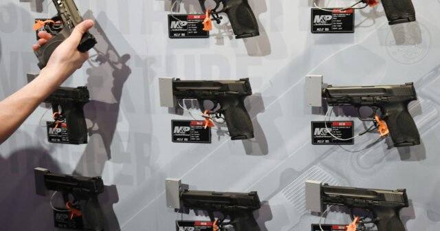 O grupo da indústria de armas violou os direitos dos proprietários de armas de fogo, o processo alega - ProPublica
