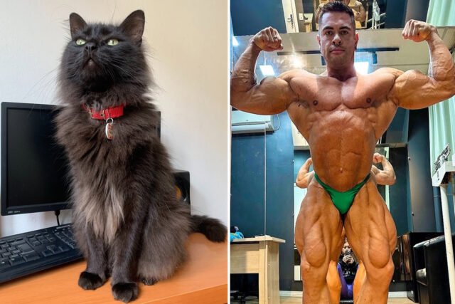 O influenciador do fisiculturismo Ricardo Nolasco dos Santos, 31, morreu de derrame após o falecimento de seu querido gato, afirma a mãe
