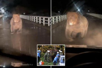 Assista-ao-momento-em-que-manifestantes-empunhando-bastoes-invadem-a.jpg Assista ao momento em que manifestantes empunhando bastões invadem a cúpula do clima COP30 e entram em confronto com guardas de segurança no Brasil