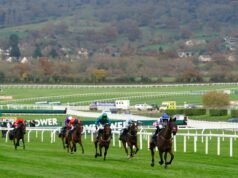 Dicas de Cheltenham: Il Ridoto apoiou a manutenção da coroa em Prestbury Park para Paul Nicholls | Notícias sobre corridas Dicas de Cheltenham: Il Ridoto apoiou a manutenção da coroa em Prestbury Park para Paul Nicholls | Notícias sobre corridas