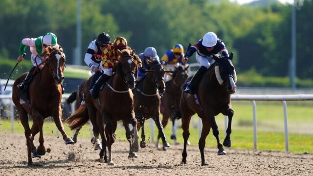 Hoje na Sky Sports Racing: Lingfield e Wolverhampton apresentam | Notícias sobre corridas
