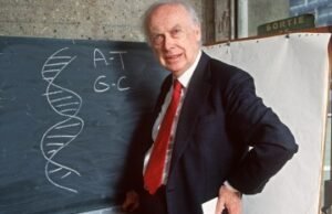 O ex-astro de Neighbours, Damien Richardson, é considerado culpado de fazer a saudação nazista no palco O ex-astro de Neighbours, Damien Richardson, é considerado culpado de fazer a saudação nazista no palco