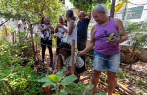 ‘Recuperando Nossas Ancestrais… Integrando-nos à Natureza’ – RioOnWatch ‘Recuperando Nossas Ancestrais… Integrando-nos à Natureza’ – RioOnWatch